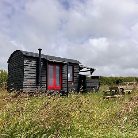 Shepherds Hut In A Private Meadow With Sea Views Hartland Dış mekan fotoğraf