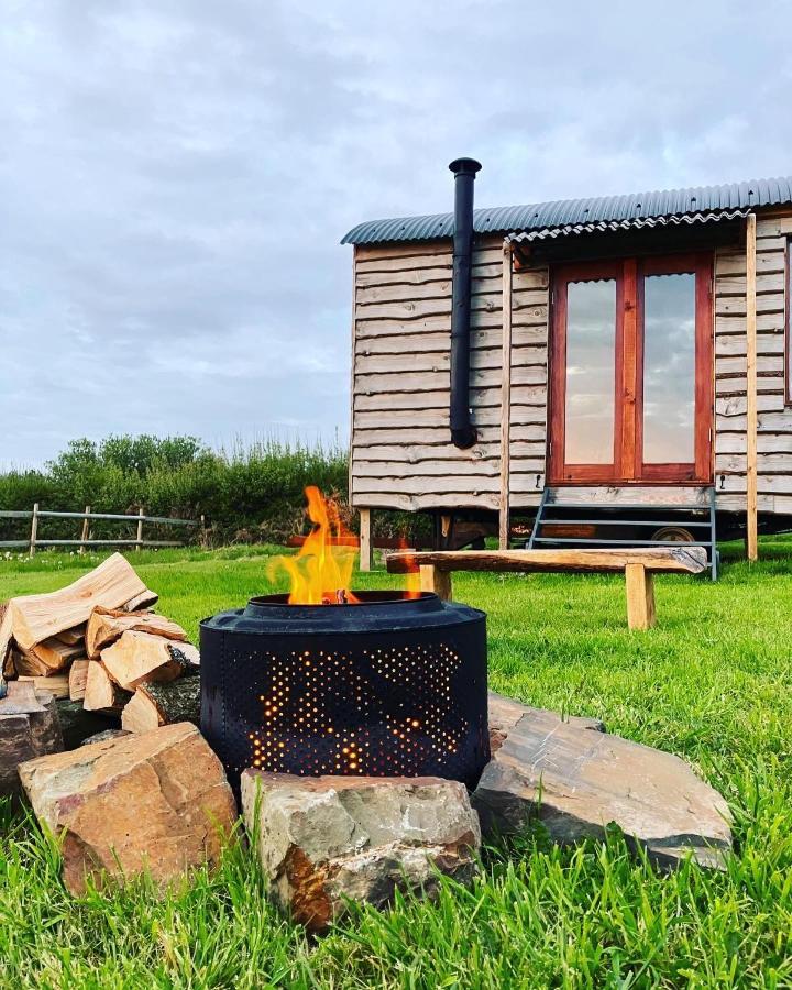 Shepherds Hut In A Private Meadow With Sea Views Hartland Dış mekan fotoğraf