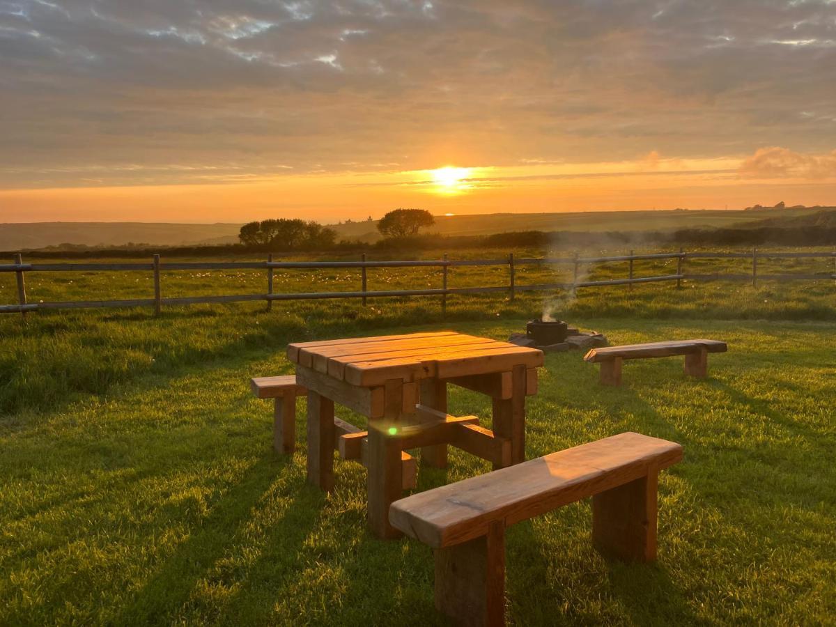 Shepherds Hut In A Private Meadow With Sea Views Hartland Dış mekan fotoğraf